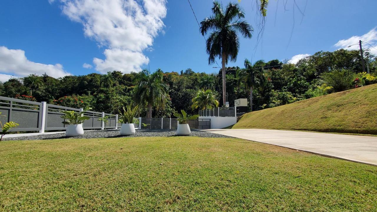 Palm'S Bohemian House With Private Pool Villa Aguada Buitenkant foto